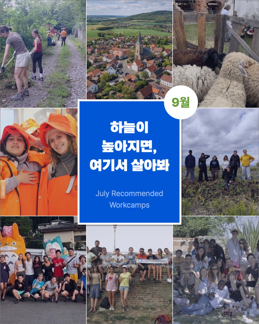 워크캠프